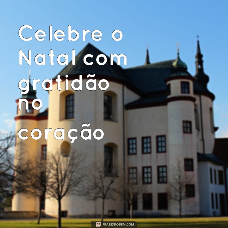 Encante suas redes sociais com as melhores frases natalinas para fotos 