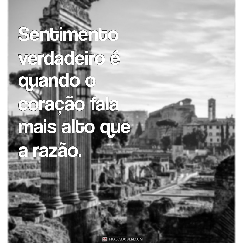 sentimento verdadeiro eu vou te dizer qual é Sentimento verdadeiro é quando o coração fala mais alto que a razão.