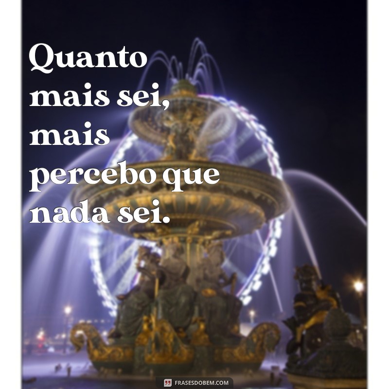 frases com paradoxo Quanto mais sei, mais percebo que nada sei.