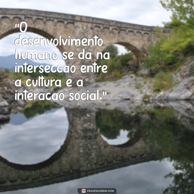 vygotsky interação social citação 