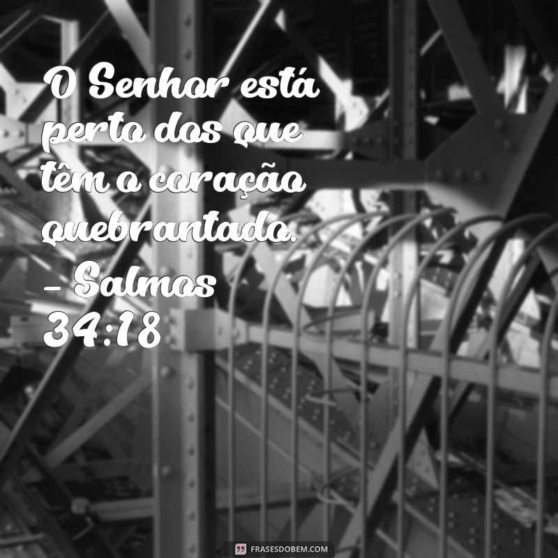 Frases Inspiradoras de Deus: Motivação e Sabedoria da Bíblia para o Seu Dia a Dia 