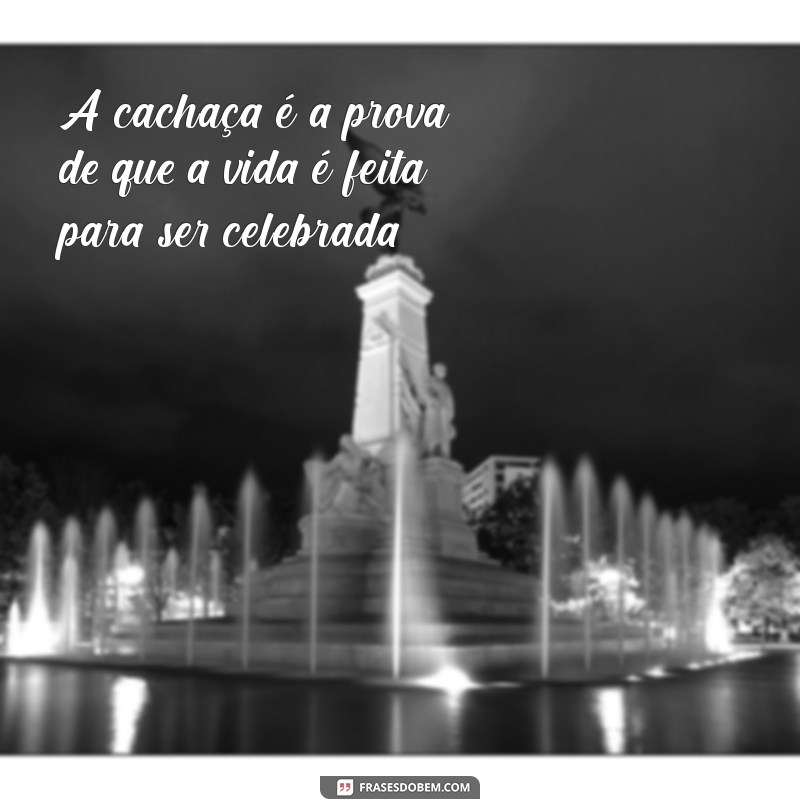 As Melhores Frases de Cachaceiro para Celebrar a Amizade e a Alegria 