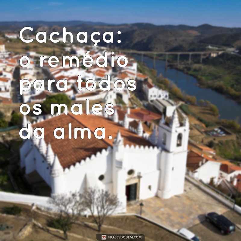 As Melhores Frases de Cachaceiro para Celebrar a Amizade e a Alegria 