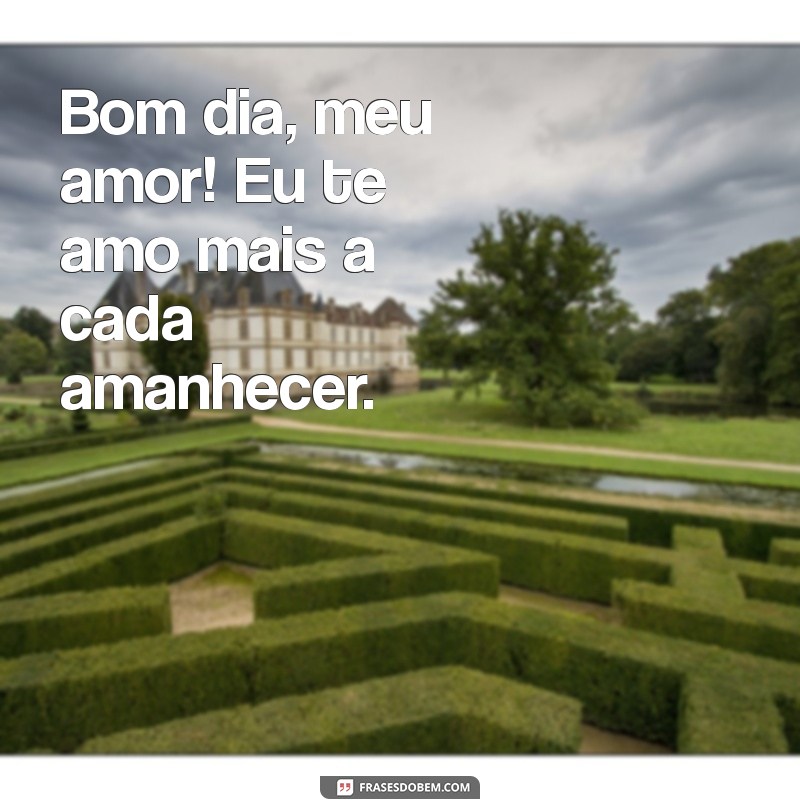 eu te amo bom dia Bom dia, meu amor! Eu te amo mais a cada amanhecer.