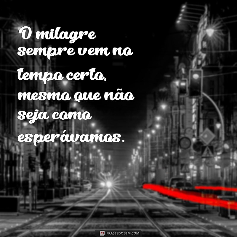 Descubra as melhores frases para sentir o cheiro de milagre em sua vida 