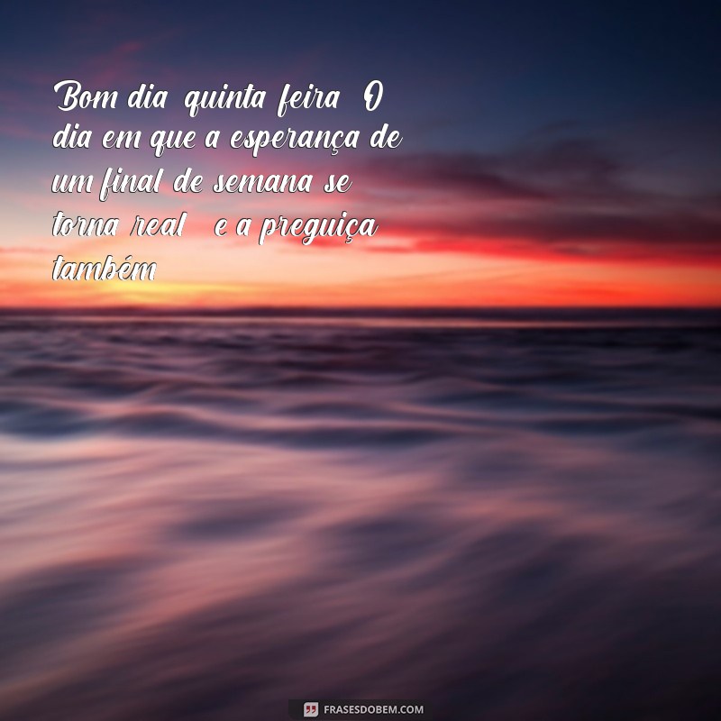 bom dia quinta engraçada Bom dia, quinta-feira! O dia em que a esperança de um final de semana se torna real... e a preguiça também!