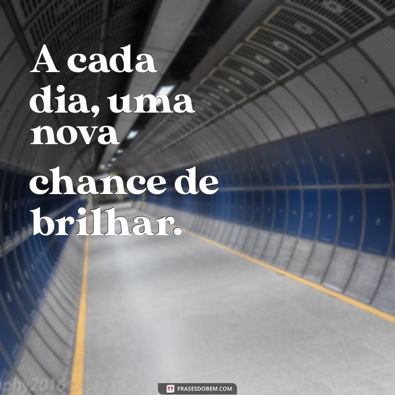 100 Frases Criativas para Transformar Sua Bio do Instagram 