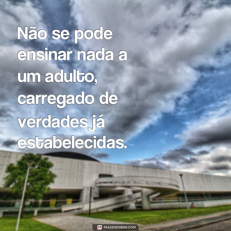 Descubra as melhores frases de Ziraldo e se encante com sua genialidade 