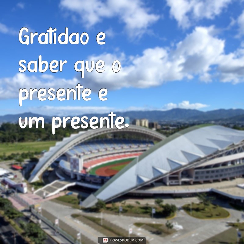 Frases Curtas de Motivação e Gratidão para Inspirar Seu Dia 