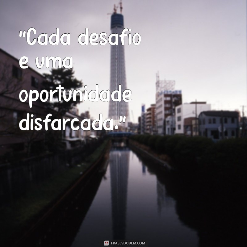 frases boa prova 