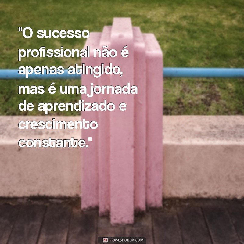 mensagem de sucesso profissional 