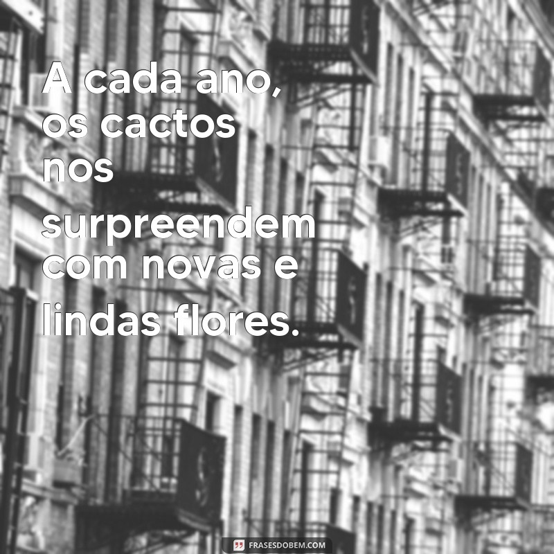 Descubra as melhores frases para compartilhar com cactos floridos 