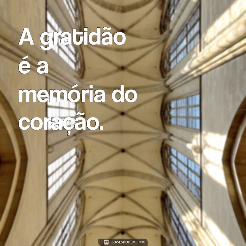 As Melhores Frases de Gratidão para Legendar Suas Fotos 