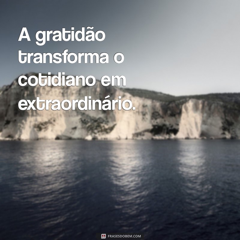 As Melhores Frases de Gratidão para Legendar Suas Fotos 