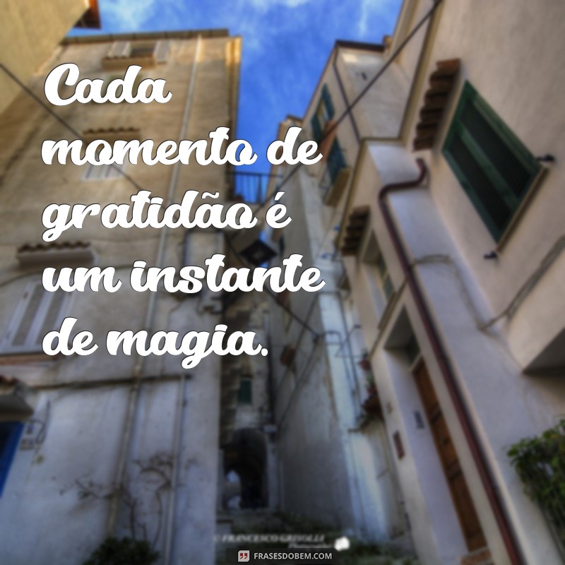 As Melhores Frases de Gratidão para Legendar Suas Fotos 