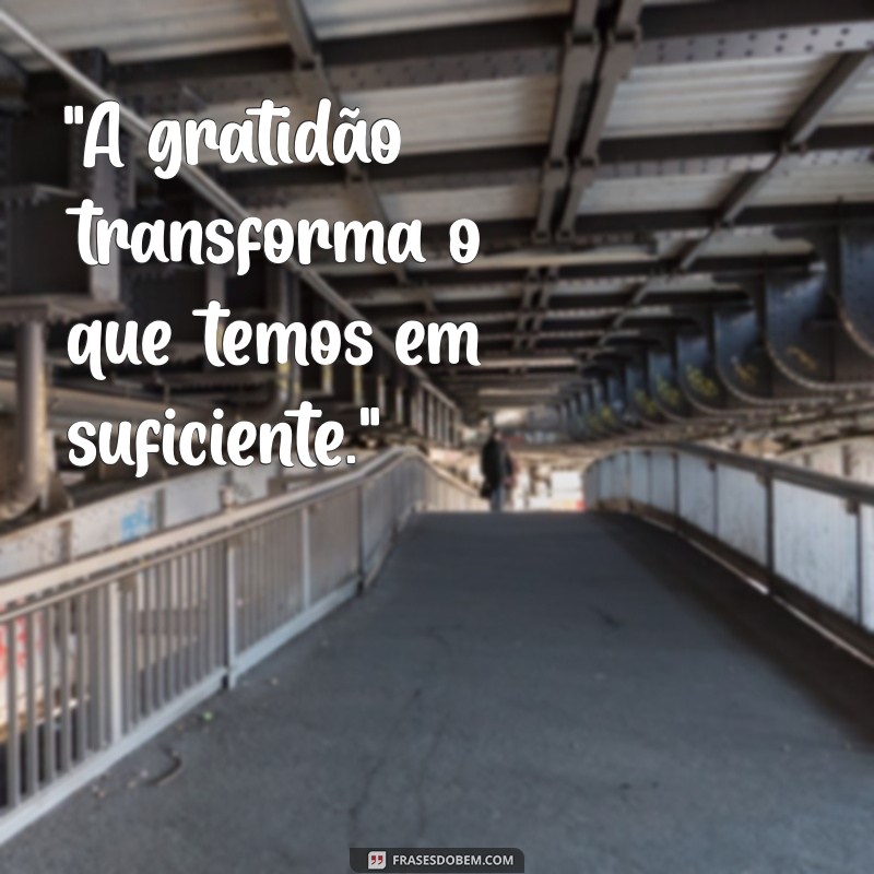 frases para foto de gratidao 