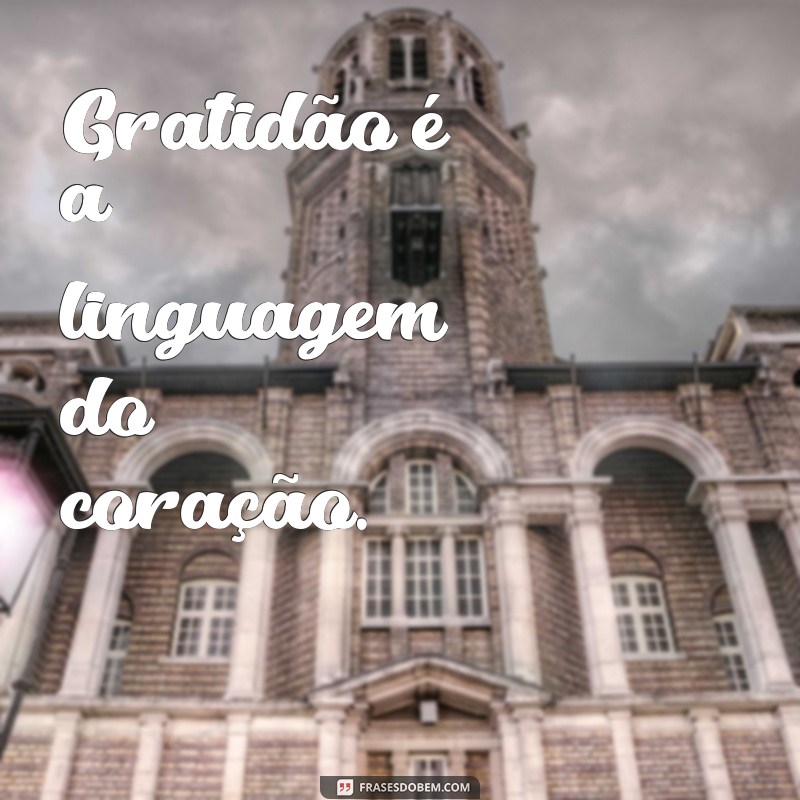 As Melhores Frases de Gratidão para Legendar Suas Fotos 