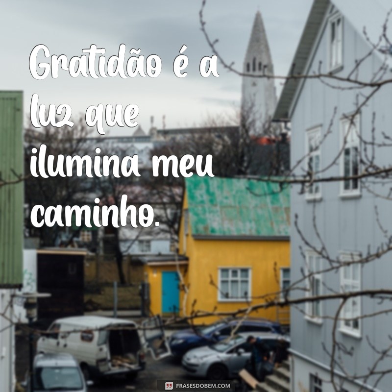 As Melhores Frases de Gratidão para Legendar Suas Fotos 