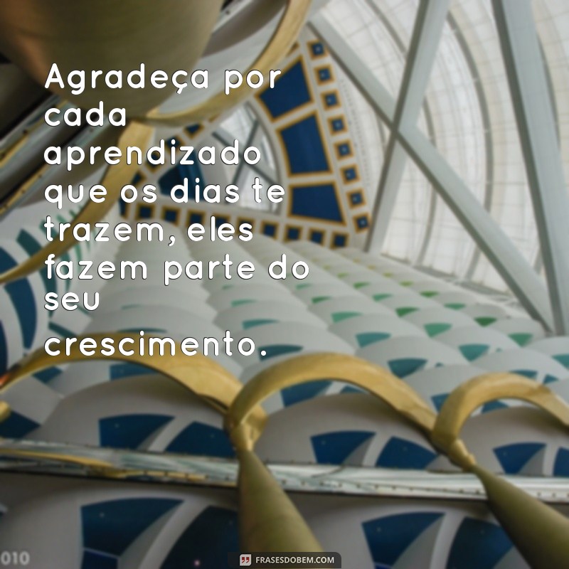 Descubra a Inspiração em 28 Frases para Viver um Dia de Cada Vez 