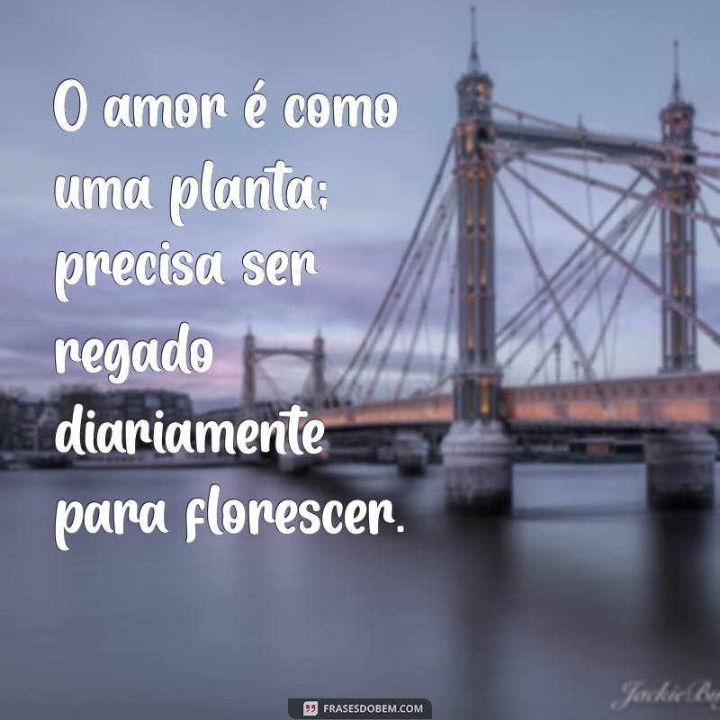 reflexão para casamento O amor é como uma planta; precisa ser regado diariamente para florescer.