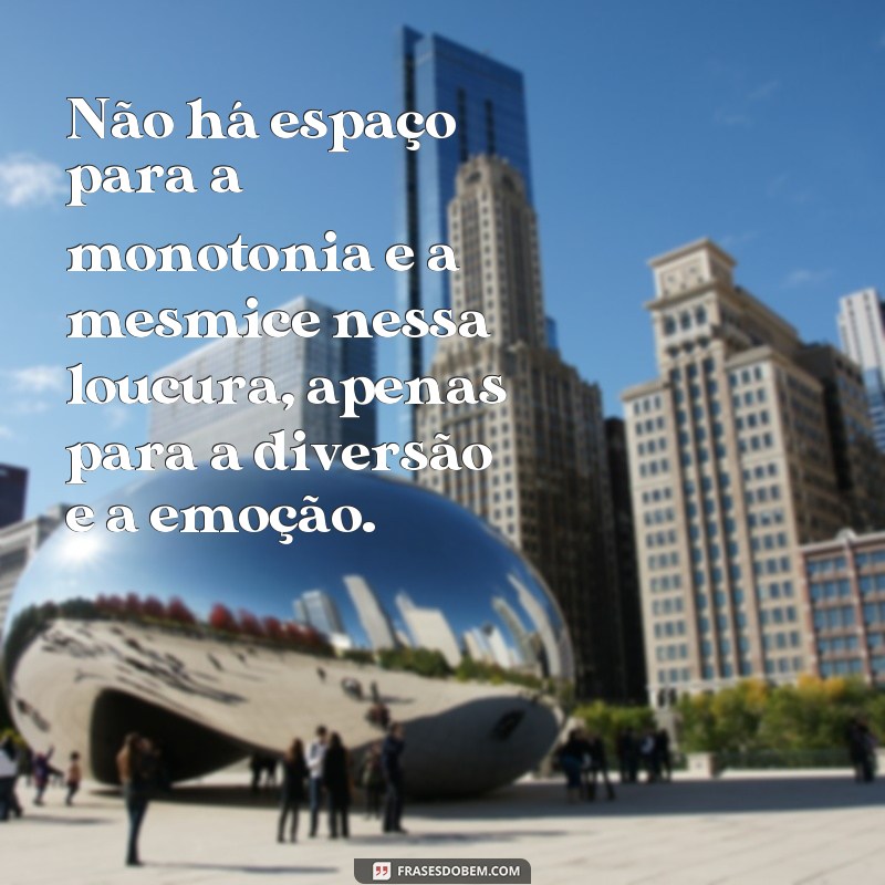 Descubra as melhores frases para expressar toda a loucura da vida 