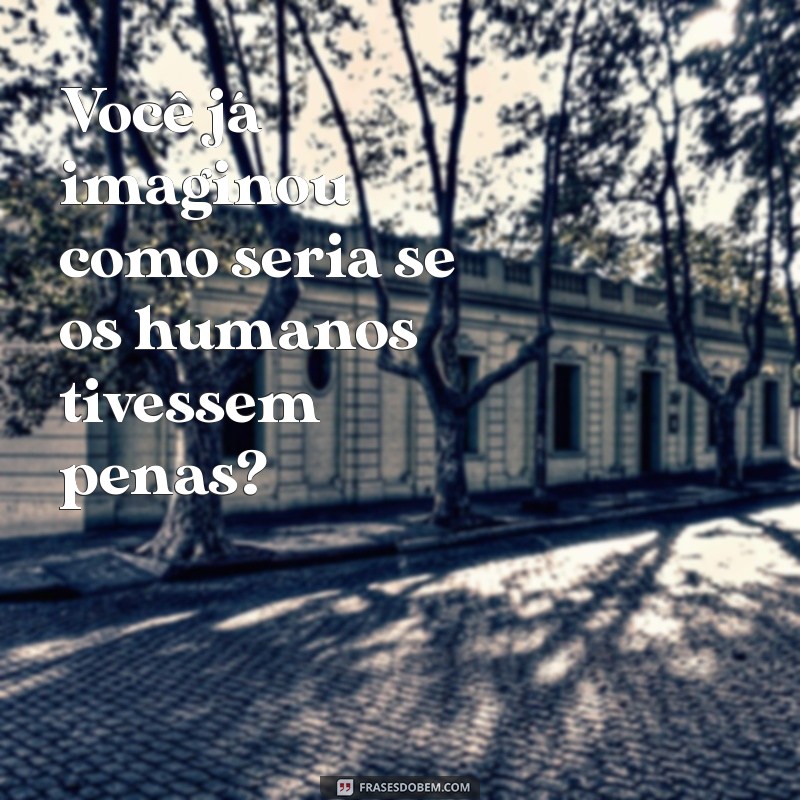 50 Perguntas Bobas e Engraçadas para Quebrar o Gelo em Qualquer Conversa 