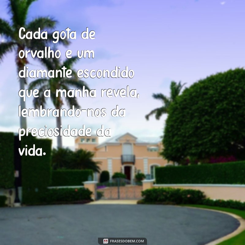 Frases Inspiradoras sobre a Beleza da Natureza para Encantar sua Alma 