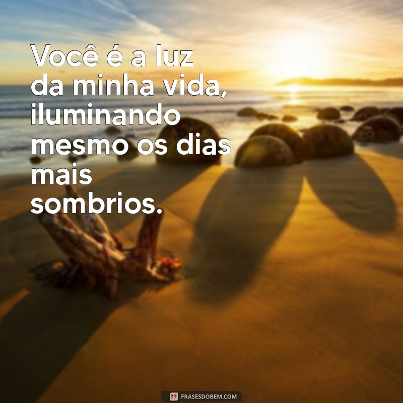 luz da minha vida frases Você é a luz da minha vida, iluminando mesmo os dias mais sombrios.