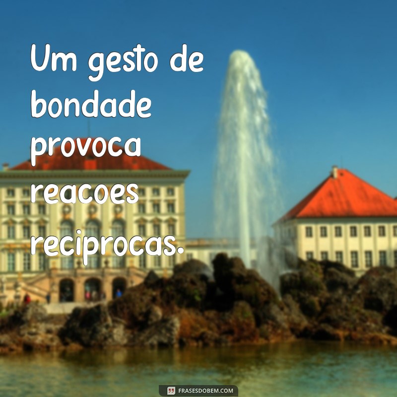 Recíproco: Entenda a Importância da Reciprocidade nas Relações Pessoais e Profissionais 