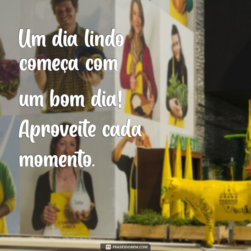 Bom Dia! 28 Frases Inspiradoras para Celebrar um Dia Lindo 