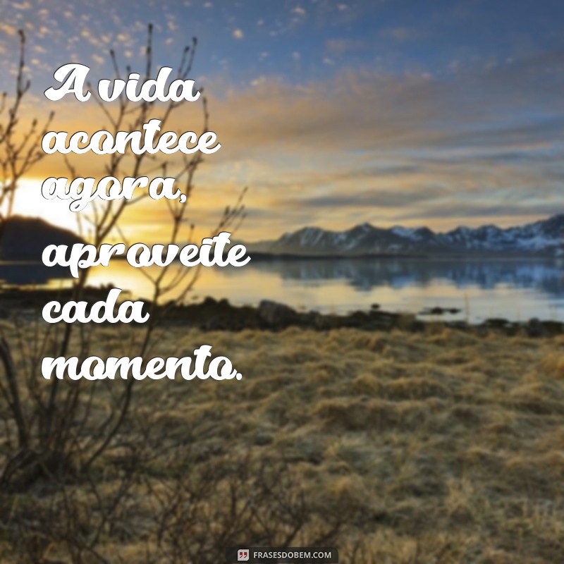 frases apenas vivendo A vida acontece agora, aproveite cada momento.