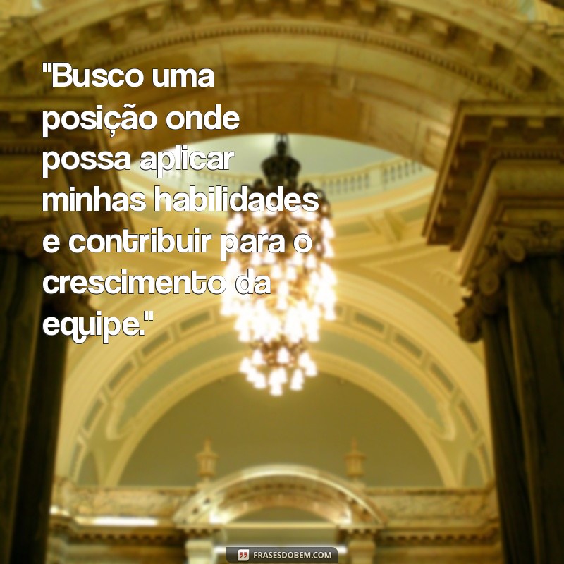 qual a melhor frases para colocar no objetivo do currículo? 