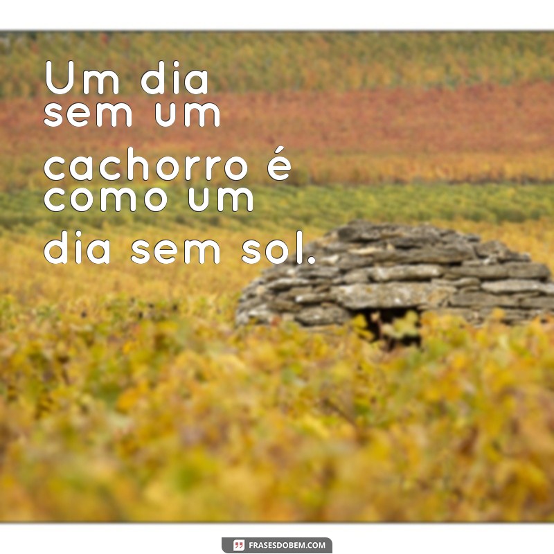 50 Frases Inspiradoras para Legendar suas Fotos com Cachorros 