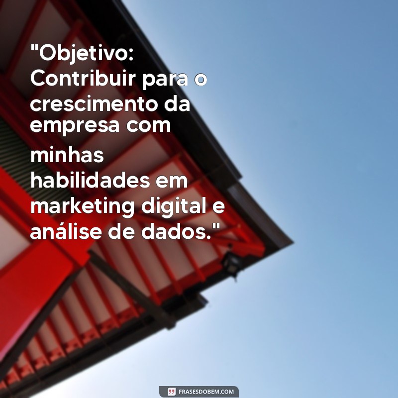 currículo com objetivo 