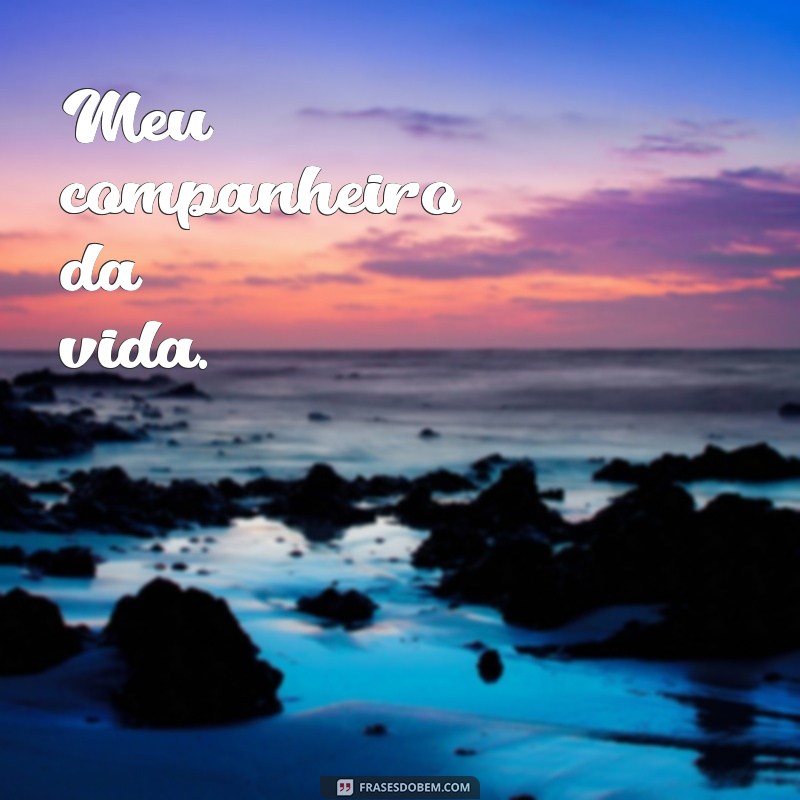 Frases Curtas para Celebrar a Amizade com Seu Companheiro 