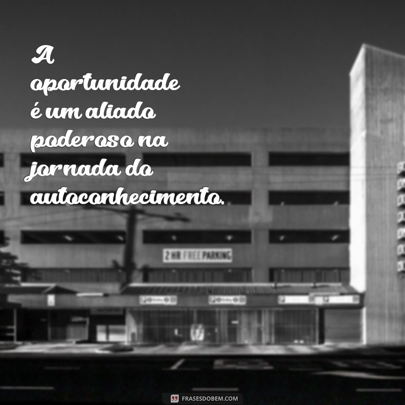 Como Aproveitar Cada Oportunidade: Dicas para Transformar Desafios em Sucesso 