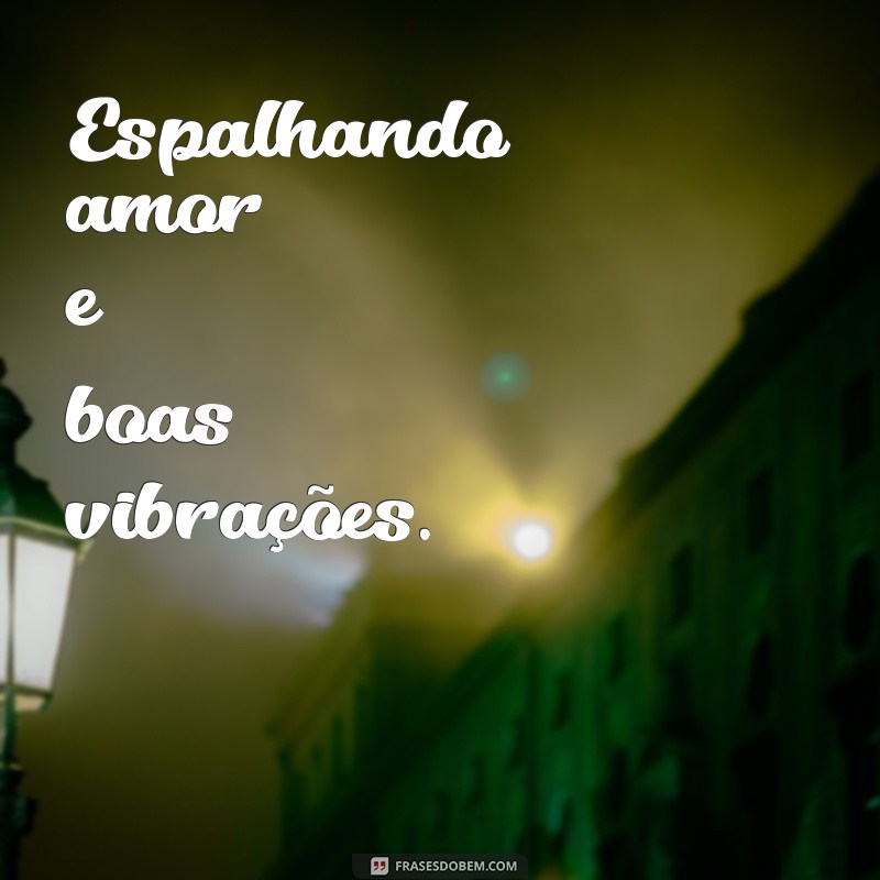 50 Frases Criativas para Transformar Sua Bio do WhatsApp 