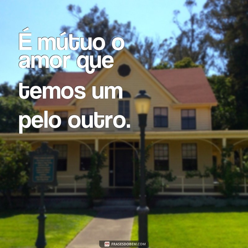 Descubra as melhores frases sobre o poder do sentimento recíproco 