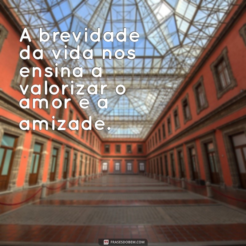 Reflexões sobre a Vida Breve: Como Aproveitar Cada Momento 