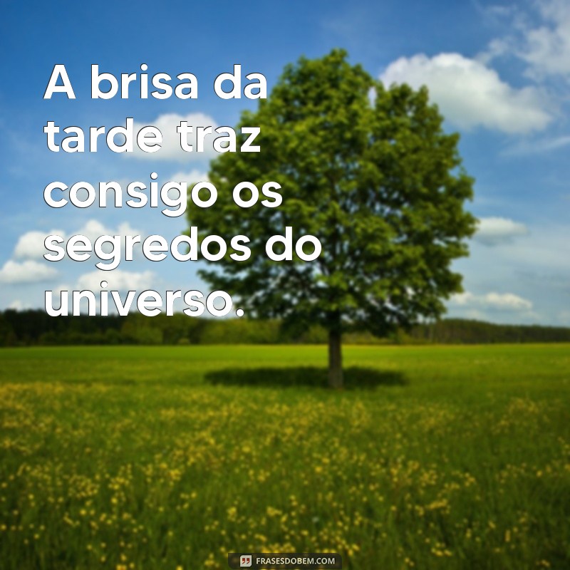 Frases Inspiradoras para Aproveitar uma Tarde Linda 