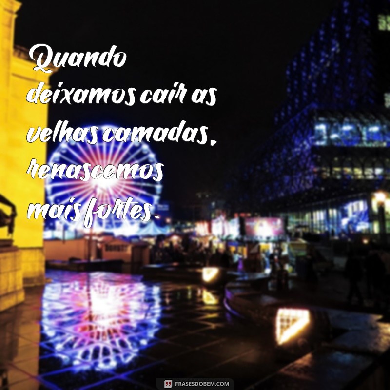 Frases Inspiradoras sobre Metamorfose para Status do WhatsApp 