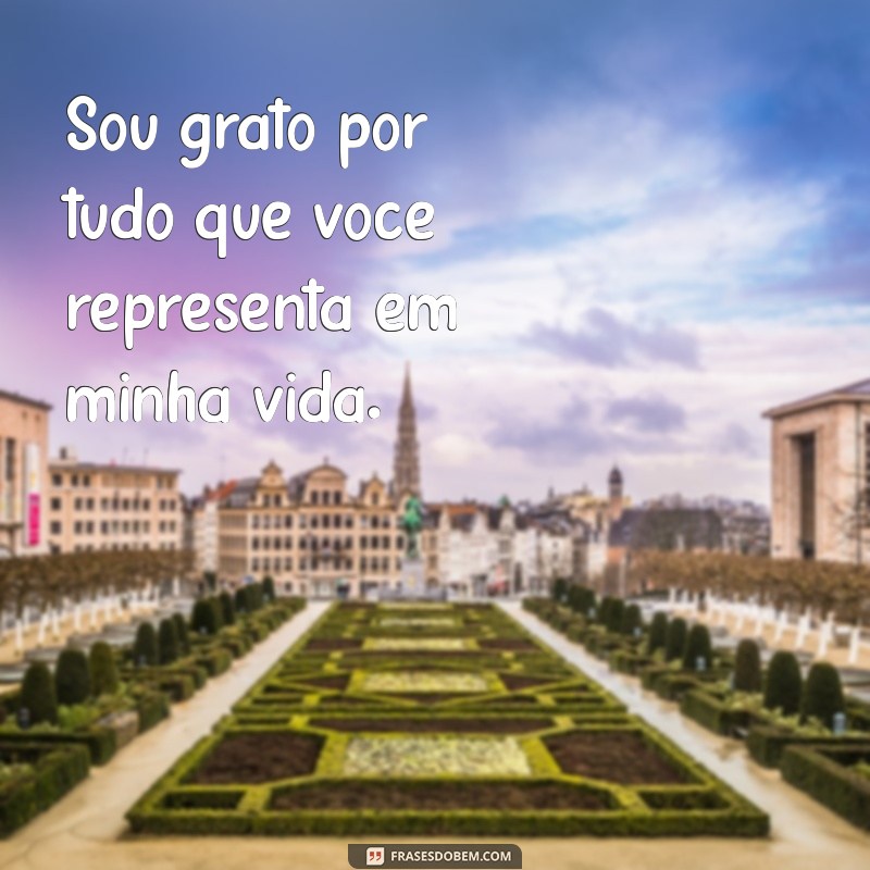 As 20 Melhores Frases de Agradecimento para Expressar sua Gratidão 