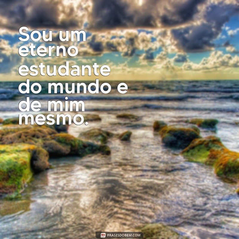 Descubra as Melhores Frases de Geminiano para Refletir Sua Personalidade 