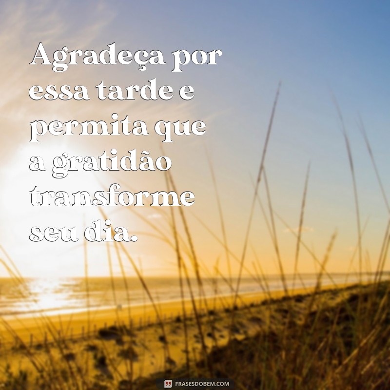 Frases de Boa Tarde Abençoada: Mensagens Inspiradoras para Compartilhar 