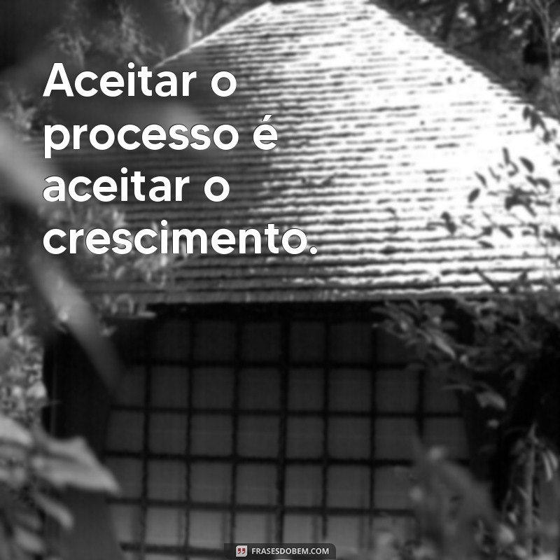 Frases Inspiradoras sobre o Processo: Reflexões para Motivação e Crescimento Pessoal 