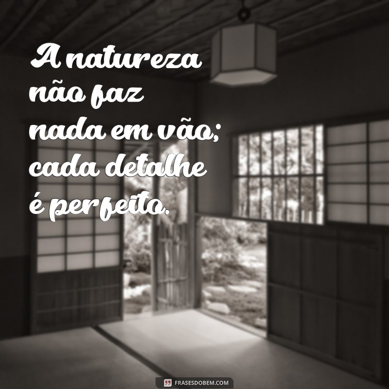 50 Frases Inspiradoras sobre a Natureza para Acompanhar Suas Fotos 