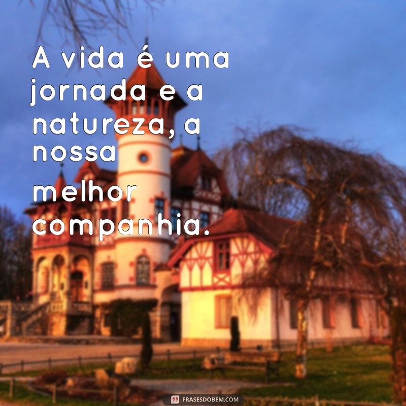 50 Frases Inspiradoras sobre a Natureza para Acompanhar Suas Fotos 