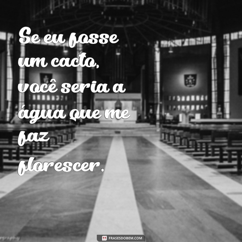 Descubra as melhores frases de besteira para surpreender seu namorado! 