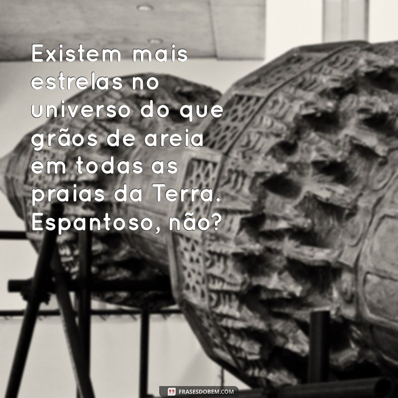 10 Curiosidades Idiotas e Engraçadas que Vão Te Fazer Rir 