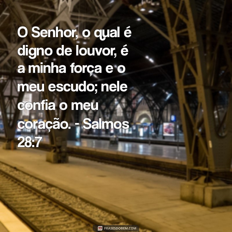 Versículos Bíblicos de Gratidão: Inspire-se com Mensagens de Agradecimento 